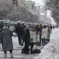 Сніг паралізував Київ: затори, ДТП і дорогі поїздки на таксі