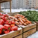 Фермерські сири та соковиті яблука: де у Києві працюватимуть районні ярмарки цього тижня