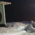 На Київщині дороги обробляють від ожеледиці: працюють понад 200 одиниць техніки