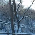 Фунікулер на Сагайдачного тимчасово не працює: 75-метрова зупинка залишилася висіти