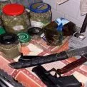 У Києві викрили наркозбут «із рук у руки» та поштою: вилучено канабісу на 500 тис. грн