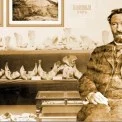 175 років Хвойці: історія вченого, що знайшов Трипілля і княжий Київ