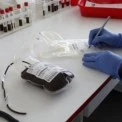 «Пульс міста»: у Києві збирають кров до річниці повномасштабної війни - як і де стати донором