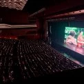 «Мавка. Справжній міф» презентували в Палаці «Україна»: як пройшла найбільша кінопрем’єра зими