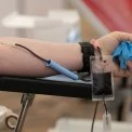 «Пульс міста»: у Києві триває тиждень донорства крові для військових і цивільних