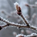 Київ на межі весни - якою буде погода в останній день зими