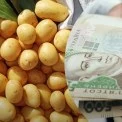 Картопля різко подорожчала - що відбувається на київських ринках