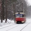 Трамвай у Пущі-Водиці зійшов з рейок: лісову трасу не ремонтують вже вісім років