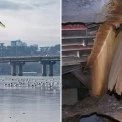 Як безпечно їхати мостом Патона: у Києві дали водіям незвичні рекомендації