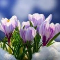 У Києві потеплішає до +9°C: синоптики розповіли, якою буде погода 2-8 березня