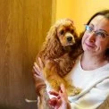 Новий дім після евакуації: на Київщині відкрили житло для родин із Донеччини