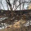 Масова вирубка та демонтаж на Пейзажній алеї: що відбувається на нижній терасі