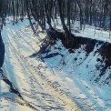 Місце, про яке знають не всі: у Голосіївському лісі є дорога віком понад два століття