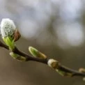 Сонячно і без опадів: якою буде погода у Києві на вихідних