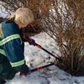 У Києві стартувала весняна підготовка парків і скверів: що зараз роблять озеленювачі