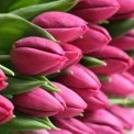 Чи чекають киянки подарунків на 8 березня: що показало опитування