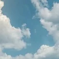 Погода на 8 березня в Києві та області: вдень до +12°, без опадів