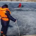 У Білій Церкві рятувальники витягли собаку з крижаної пастки