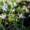 Тепло та сонячно: якою буде погода у Києві на вихідних 14–15 березня
