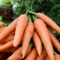 Де купити свіжі продукти у Києві: графік сільськогосподарських ярмарків на 17–22 березня
