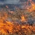 Пожежа у Подільському районі Києва: рятувальники гасять масштабне загоряння