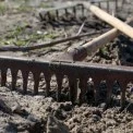 У Солом’янському парку проведуть толоку: киян кличуть на спільне прибирання
