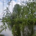 У Києві збудують пішохідний міст у парку на Прирічній за підтримки Литви