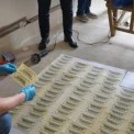 Фальшиві долари під Києвом: як працювала підпільна “друкарня” і чим це загрожує місту