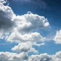 Весна без сюрпризів: якою буде погода у Києві 25 березня
