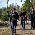 Понад 44 тисячі гектарів під контролем: на Київщині перевіряють небезпечні території через міни