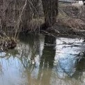 На Київщині стічні води потрапляють у річку Буча: екологи взялися за перевірку