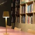 У Києві з’явиться нова культурна точка: Музей Ханенків відкриває читальню