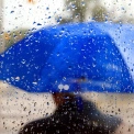 До Києва йде дощ: температура підніметься до +11°С вдень