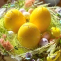 У центрі Києва пройде великий «Великодній маркет»: програма