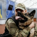 Незламні: кінолог на протезі та його вівчарка Роксі боронять Київщину