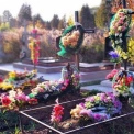 Киян просять переглянути традицію - що не так зі штучними квітами