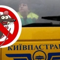 Київпастранс готує велику зачистку - тендер на боротьбу з гризунами