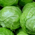 Де купити свіжі продукти у Києві: повний розклад ярмарків на 14–19 квітня