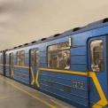 Київський метрополітен пояснив правила перевезення саджанців: коли потрібно доплачувати