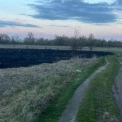 На Вишгородщині 19-річний хлопець запустив феєрверк і спричинив пожежу на полі
