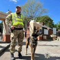 У Києві на поминальні дні 2026 посилять безпеку: поліція перевірить 31 кладовище