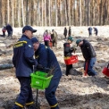 Після розмінування — новий ліс: на Київщині висадили дерева у Бородянській громаді