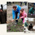 Київ у цифрах: 7038 учасників і понад 3 тисячі кубів сміття за один день