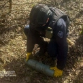 На Вишгородщині сапери знешкодили мінометну міну «НОНА», знайдену в лісі