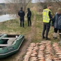 На Київщині під час нересту затримали браконьєра: збитки перевищили 158 тисяч гривень