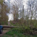 Негода на Київщині: майже 60 тисяч домівок залишилися без світла через шквальний вітер і град