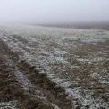 Заморозки до -2°: у Києві оголосили жовтий рівень небезпеки