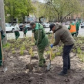 Замість МАФів — зелена зона: поблизу Львівської площі з’явилася нова оаза