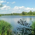 Біля озера Міністерка знищили альтанки і занедбали кафе - що відбувається на локації