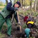 У Києві висадили понад 600 дерев у межах акції «1 мільйон дерев життя»